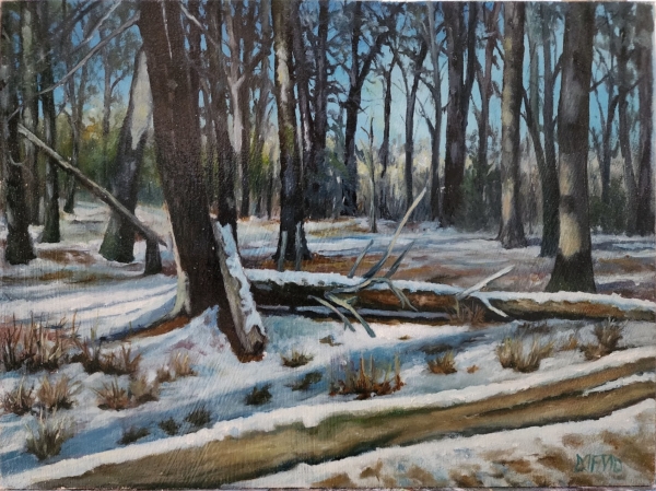 Winter Woods #2